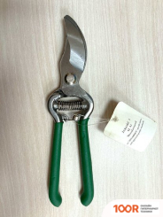 Angarden 59280 (375293)