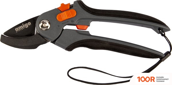 Amigo 76417 (375288)