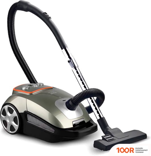 Пылесос RAF R.8700 (374562)