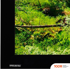 Проекционный экран Projecta HOMESCREEN DELUXE 141X216 10600442 (374435)