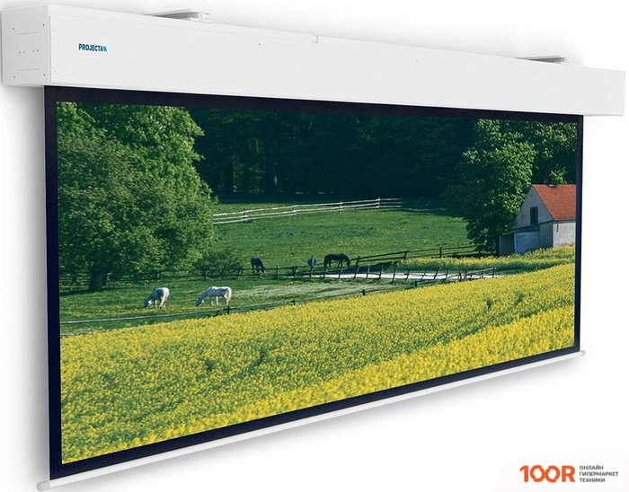 Проекционный экран Projecta ELPRO LARGE ELECTROL 285Х450 10100337 (374433)