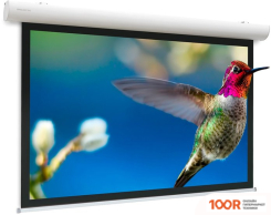 Проекционный экран Projecta ELPRO CONCEPT 191X300 10103541 (374430)