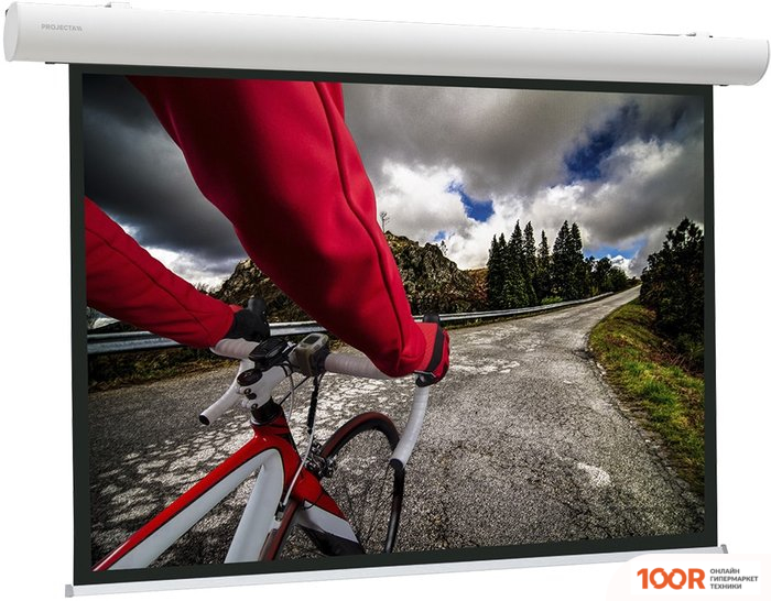 Проекционный экран Projecta ELPRO CONCEPT 191X300 10103541 (374430)