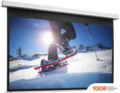 Проекционный экран Projecta DESCENDERPRO 164Х240 10104765 (374424)