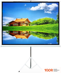 Проекционный экран Maclean MC-536 145X110 (374408)