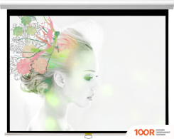 Проекционный экран Classic Solution PREMIER ORION II 231X231 МW-FC/W (374404)