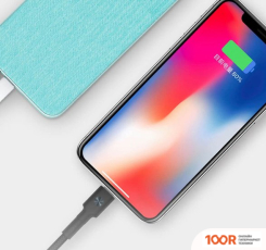 Внешний аккумулятор ZMI POWERPACK 10K-PD QB910 10000 MAH (БИРЮЗОВЫЙ) (374366)