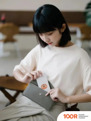 Внешний аккумулятор Solove W9 5000МAЧ (ЯБЛОКО) (374161)