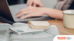 Внешний аккумулятор Moshi IONGO 5K 5000MAH (СЛОНОВАЯ КОСТЬ) (373919)