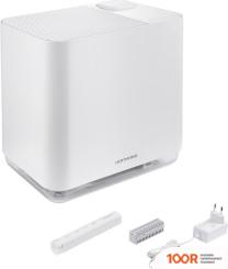 Redmond (Редмонд) AP2206 (372978)