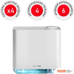 Redmond (Редмонд) AP2206 (372978)