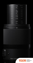 Объектив Sigma 70MM F2.8 AF DG MACRO ART ДЛЯ SONY E (371951)