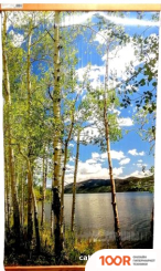 ТеплоМакс ДОМАШНИЙ ОЧАГ (БЕРЕЗКИ) (371618)