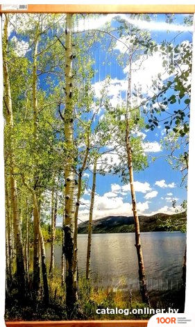 ТеплоМакс ДОМАШНИЙ ОЧАГ (БЕРЕЗКИ) (371618)