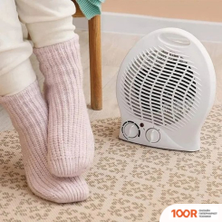 Wetter FH02 (371510)