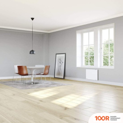 STIEBEL ELTRON CND 100 (371425)