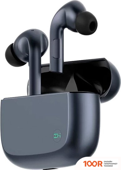 Наушники ZMI PURPODS PRO (ЧЕРНЫЙ) (370753)