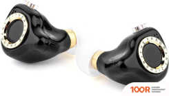 Наушники TFZ LIVE X (ЧЕРНЫЙ) (370275)