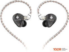 Наушники Hidizs MS2 (ЧЕРНЫЙ) (368286)