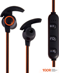 Наушники Belsis BE1202BKOR (367400)