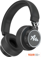 Наушники Audictus WINNER (367346)