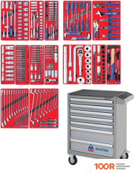 Мастак ПРОФИ 52-07299G (299 ПРЕДМЕТОВ) (366862)