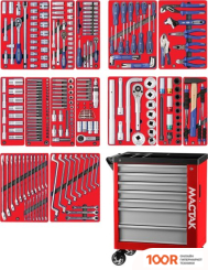 Мастак 50-07299R (299 ПРЕДМЕТОВ) (366834)