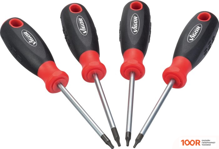 Vigor V4418 TORX (366593)