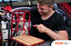 Vigor V4418 TORX (366593)