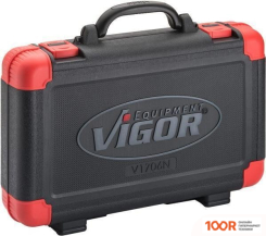 Vigor V1706N (366584)