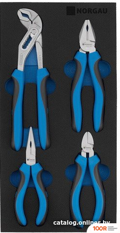 Norgau NPSK-004 (4 ПРЕДМЕТА) (366260)