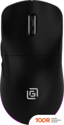 Мышь Оклик 900GMW (ЧЕРНЫЙ) (365335)