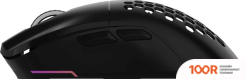 Мышь Оклик 900GMW (ЧЕРНЫЙ) (365335)