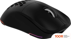 Мышь Оклик 900GMW (ЧЕРНЫЙ) (365335)
