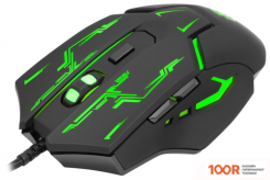 Мышь Оклик 779G (365328)