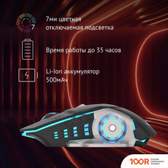 Мышь Оклик 770GW (ЧЕРНЫЙ) (365327)