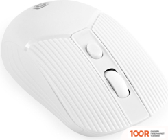 Мышь Оклик 509MW (БЕЛЫЙ) (365304)