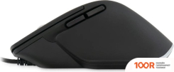 Мышь Оклик 503M (ЧЕРНЫЙ) (365299)
