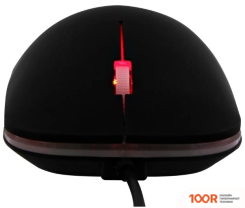 Мышь T'nB LOVE (365173)