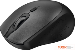 Мышь Accura LAUREL ACCM1054 (365136)