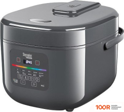 Мультиварка Redmond (Редмонд) MC100S (365008)