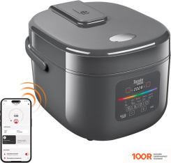 Мультиварка Redmond (Редмонд) MC100S (365008)