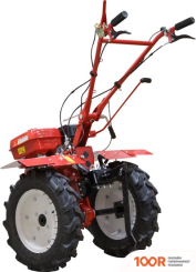 Asilak SL-87-5012 (364717)