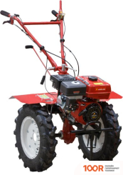 Asilak SL-87-5012 (364717)