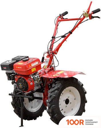 Asilak SL-87-5012 (364717)