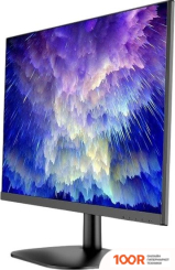 Монитор Bravus BVS2405H (364526)