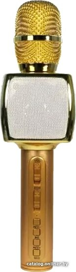Микрофон Zarmans ZN-09 (ЗОЛОТИСТЫЙ) (364334)