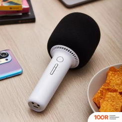 Микрофон YHEMI KARAOKE MICROPHONE 2 (364331)