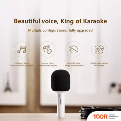 Микрофон YHEMI KARAOKE MICROPHONE 2 (364331)