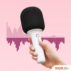Микрофон YHEMI KARAOKE MICROPHONE 2 (364331)